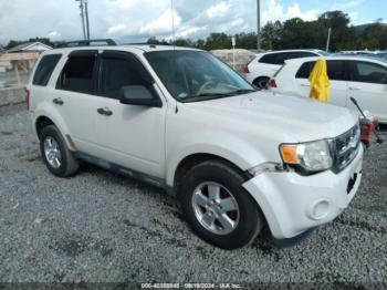  Salvage Ford Escape