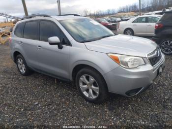  Salvage Subaru Forester