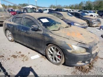  Salvage Nissan Maxima