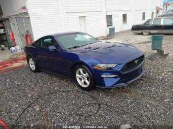  Salvage Ford Mustang