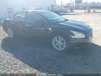  Salvage Nissan Maxima