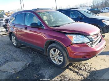  Salvage Honda CR-V