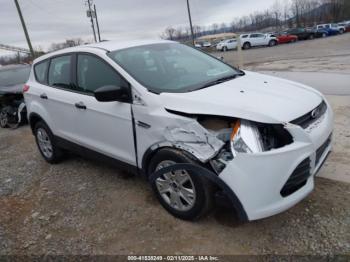  Salvage Ford Escape