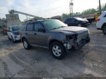  Salvage Ford Escape