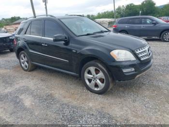  Salvage Mercedes-Benz M-Class
