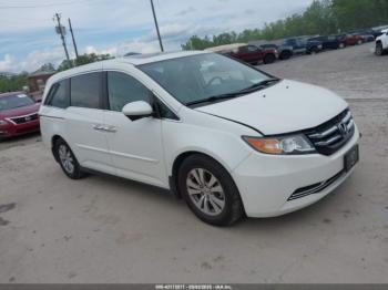  Salvage Honda Odyssey