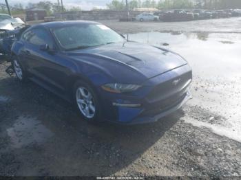 Salvage Ford Mustang