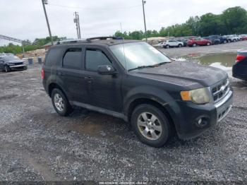  Salvage Ford Escape