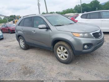  Salvage Kia Sorento