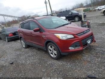  Salvage Ford Escape