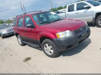  Salvage Ford Escape
