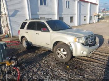  Salvage Ford Escape