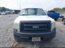 Ford F-150 Xl Image 15