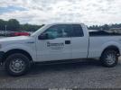 Ford F-150 Xl Image 11