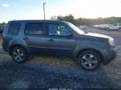 Honda Pilot Ex-l Image 5