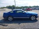 Ford Mustang Image 4