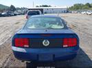 Ford Mustang Image 11