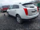 Cadillac SRX Luxury Collection Image 5