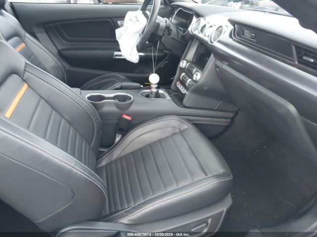 Ford Mustang Mach 1 Fastback Image 6