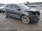 Ford Edge Titanium Image 1