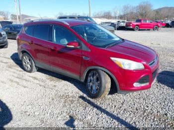  Salvage Ford Escape