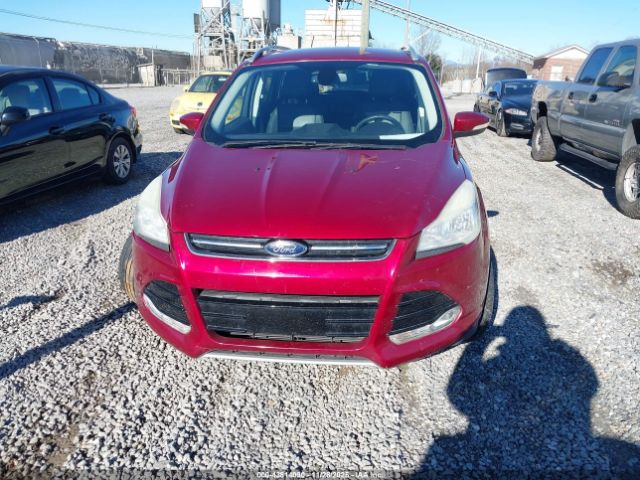 Ford Escape Titanium Image 14