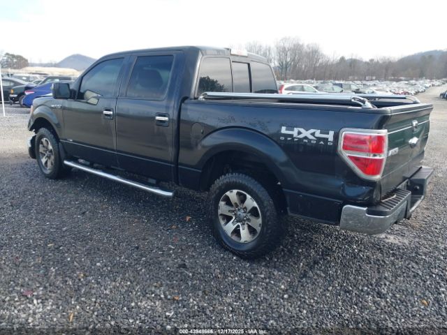Ford F-150 Xlt Image 6