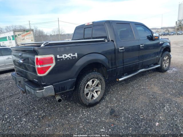 Ford F-150 Xlt Image 8