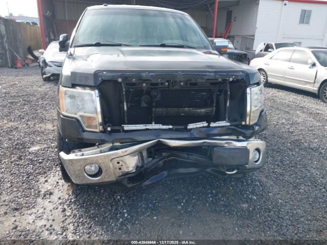 Ford F-150 Xlt Image 7