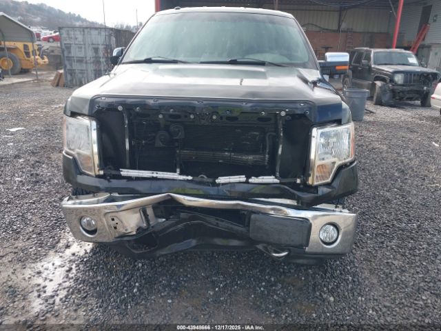 Ford F-150 Xlt Image 16