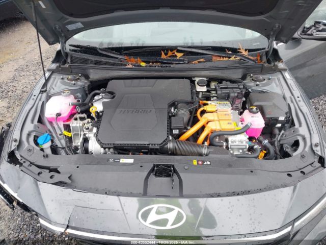 Hyundai ELANTRA Limited Image 12