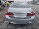 Honda Accord Ex-l V-6 Image 13