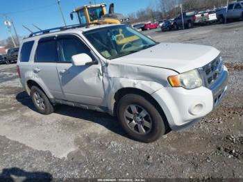  Salvage Ford Escape