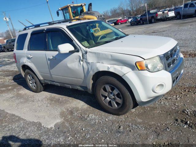  Salvage Ford Escape