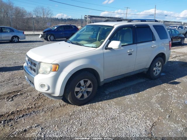 Ford Escape Limited Image 8