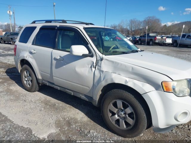 Ford Escape Limited Image 7