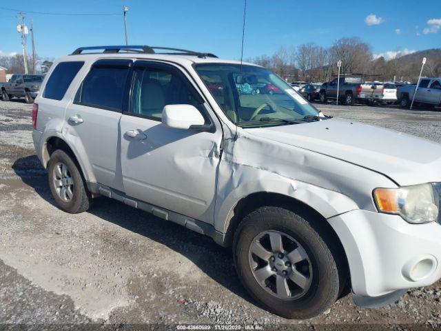 Ford Escape Limited Image 7