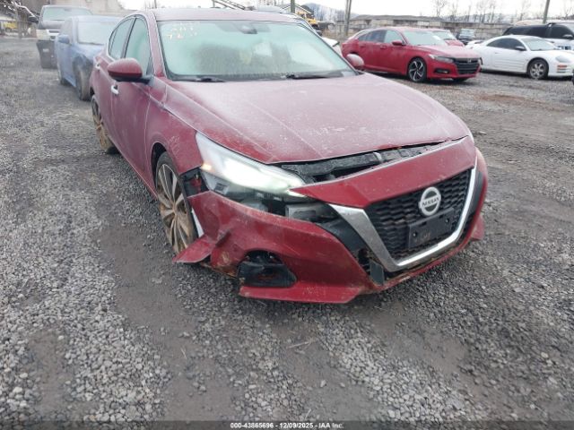 Nissan Altima 2.5 Platinum Image 4