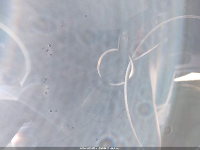 Honda Element Ex Image 7