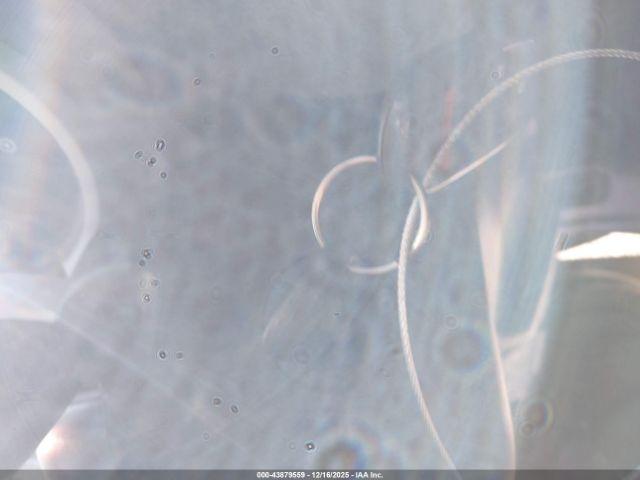 Honda Element Ex Image 7